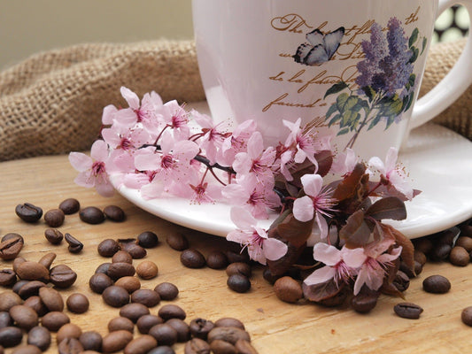 The Coffee Bean Company Vanilla Nut Coffee Review