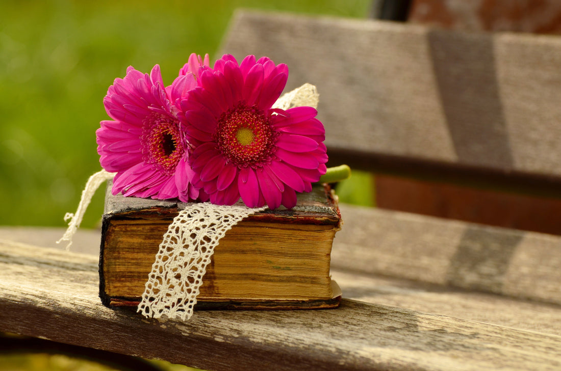 How to study the Bible like never before!