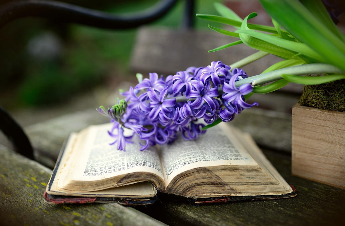 My Daily Quiet Time Routine + Favorite Bible Study Supplies (2025)
