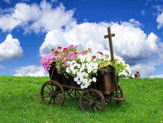 Biblical Priorities: A Scripture Writing Plan