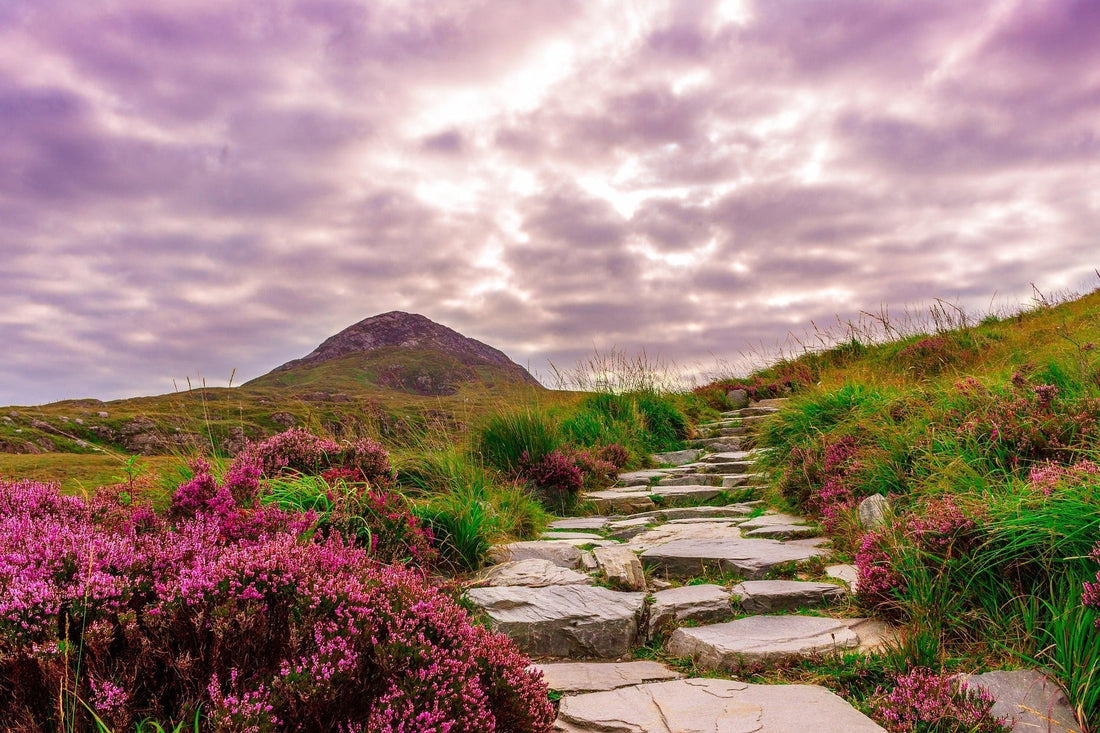 9 Bible Verses to Encourage You on Your Fitness Journey
