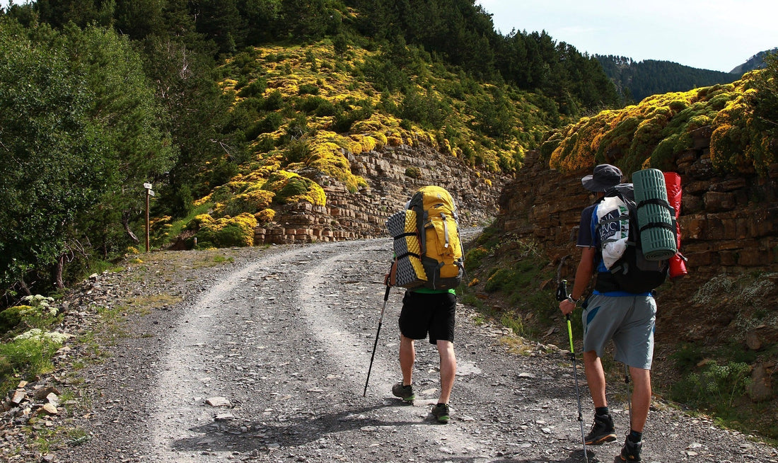How Walking Can Support Your Health (Body, Mind, and Spirit)