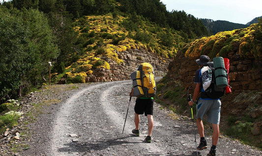 How Walking Can Support Your Health (Body, Mind, and Spirit)