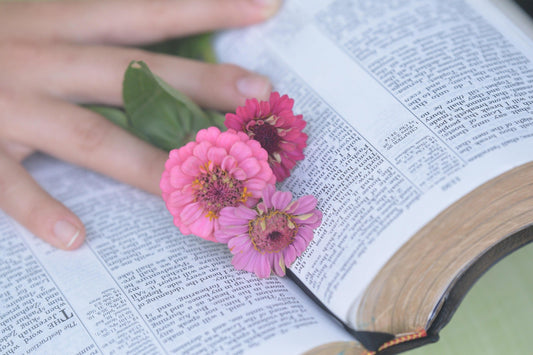 How to Start Verse Mapping (A Beginner's Guide)
