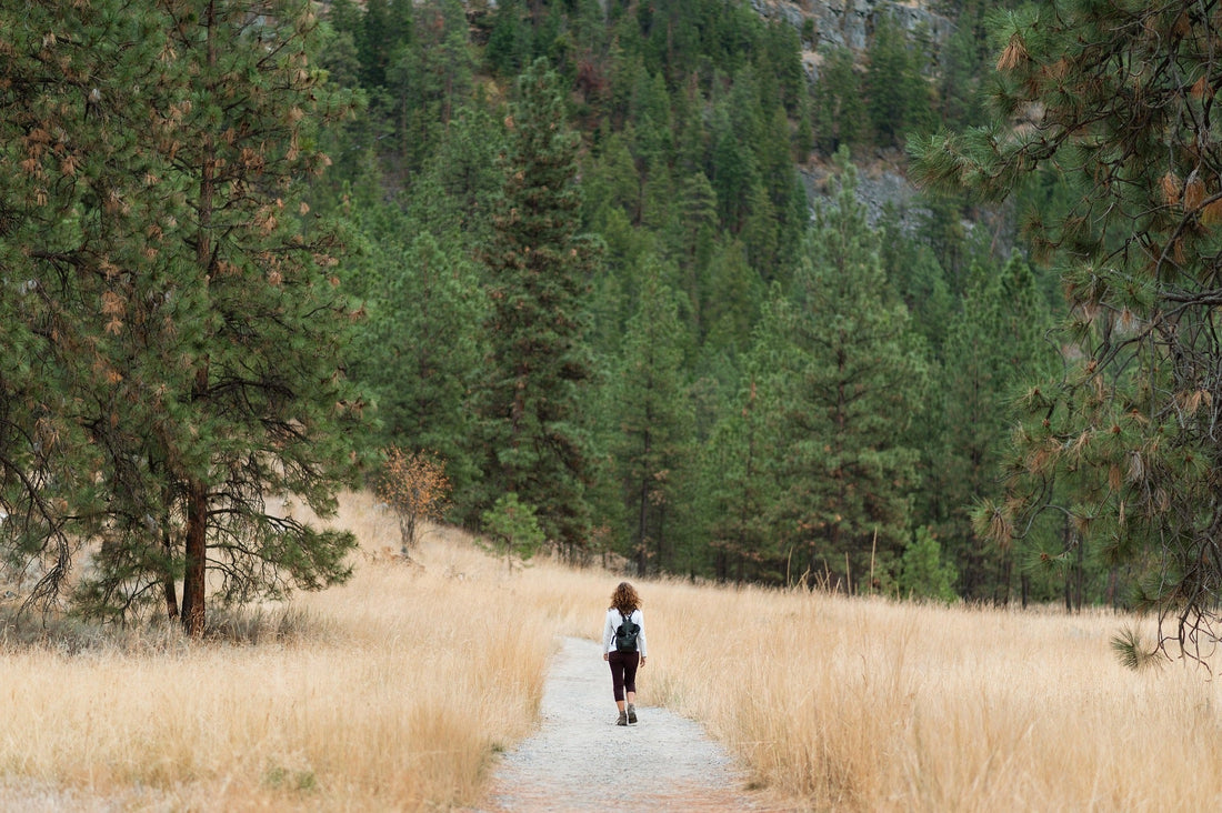 15 Reasons Walking Is One of the Best Forms of Exercise